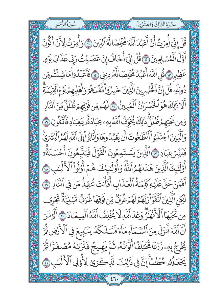 المصحف الجوامعي - الصفحة ٤٦٠