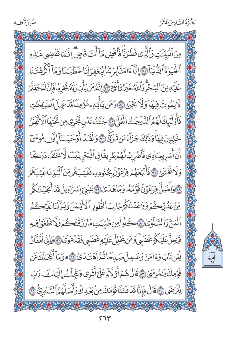 المصحف العادي 3 - الصفحة ٢٦٣