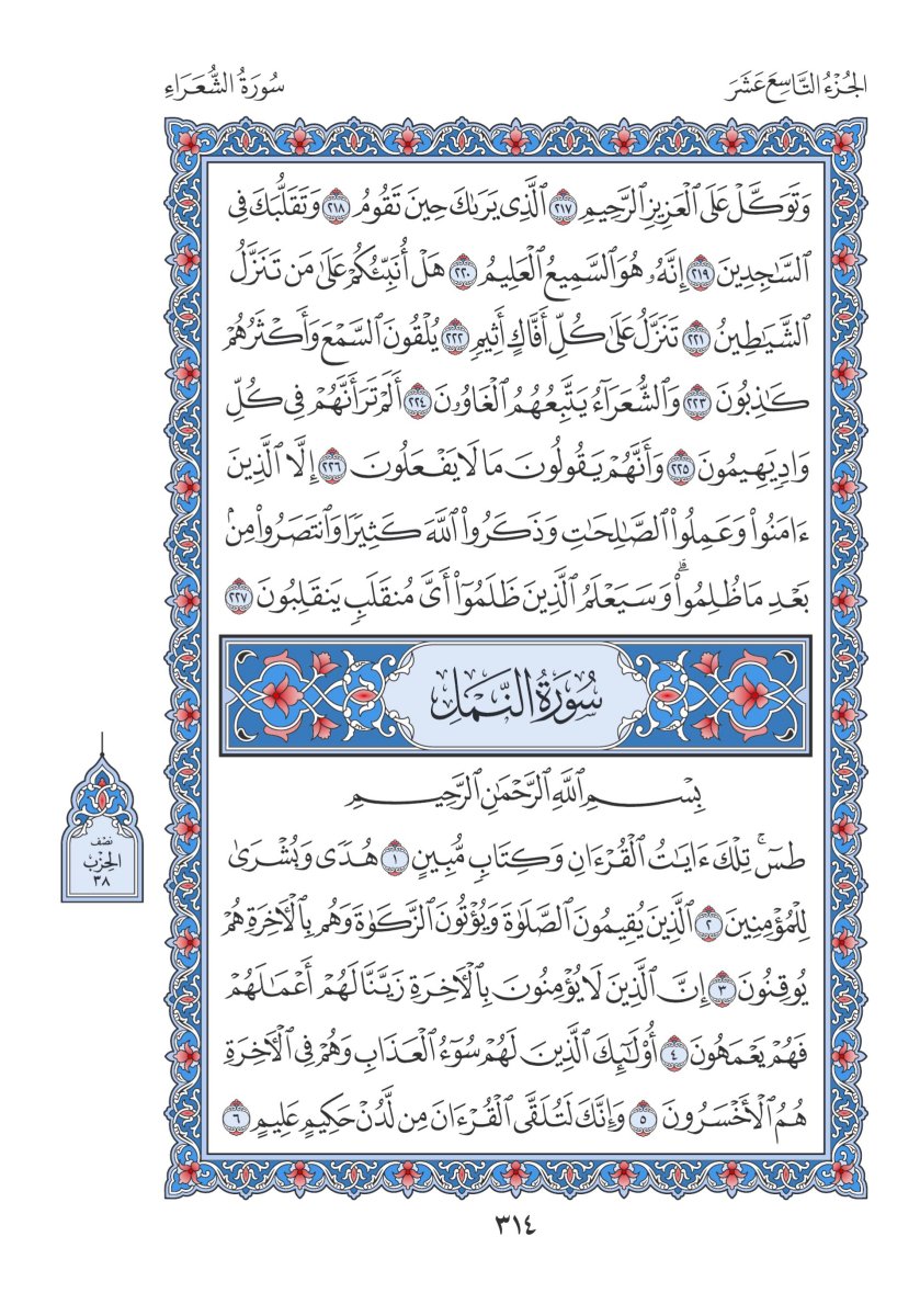 المصحف العادي 3 - الصفحة ٣١٤