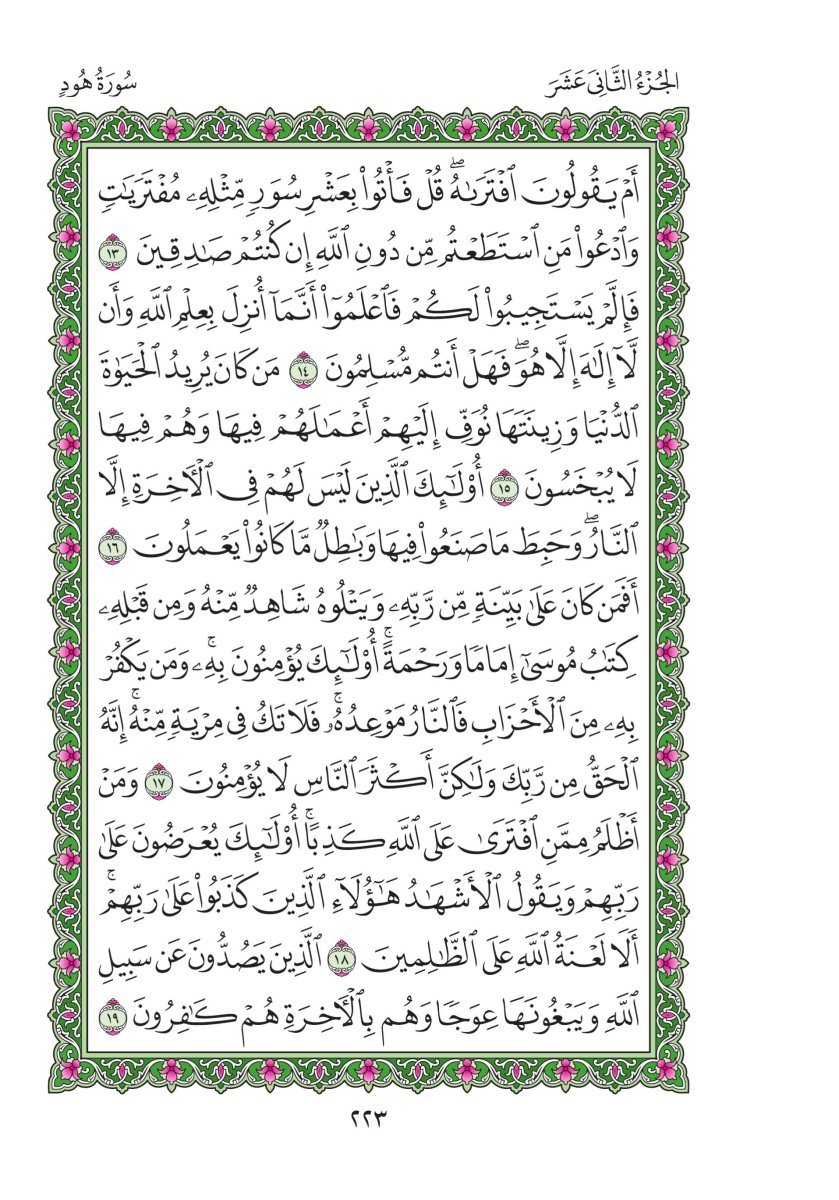 المصحف العادي - الصفحة ٢٢٣