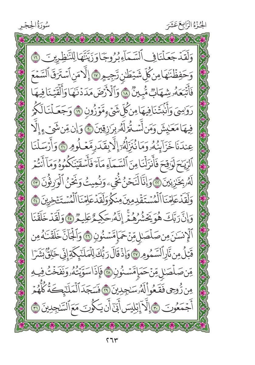المصحف العادي - الصفحة ٢٦٣