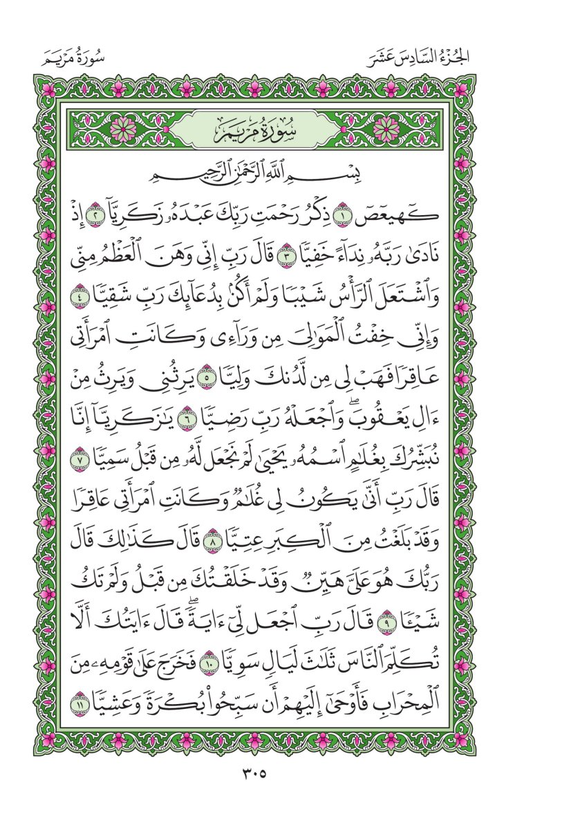 المصحف العادي - الصفحة ٣٠٥