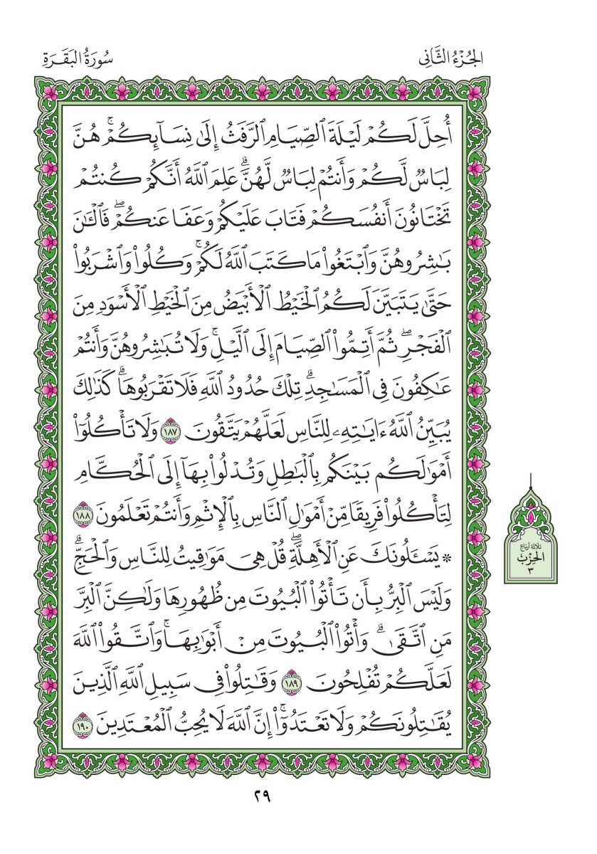 المصحف العادي - الصفحة ٢٩