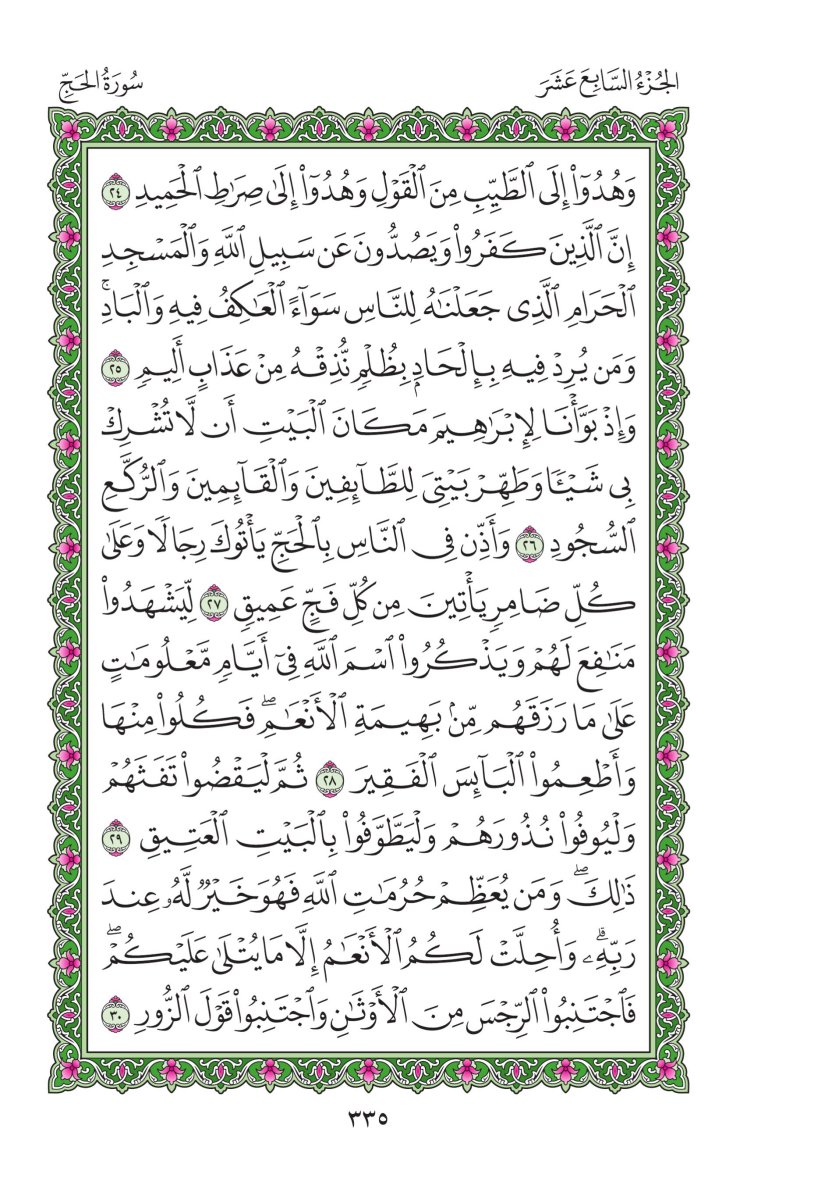 المصحف العادي - الصفحة ٣٣٥