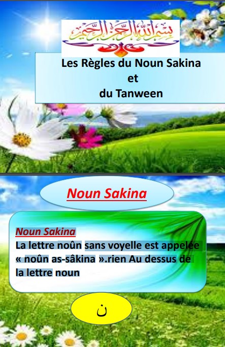 Les Règles du Noun Sakina et du Tanween