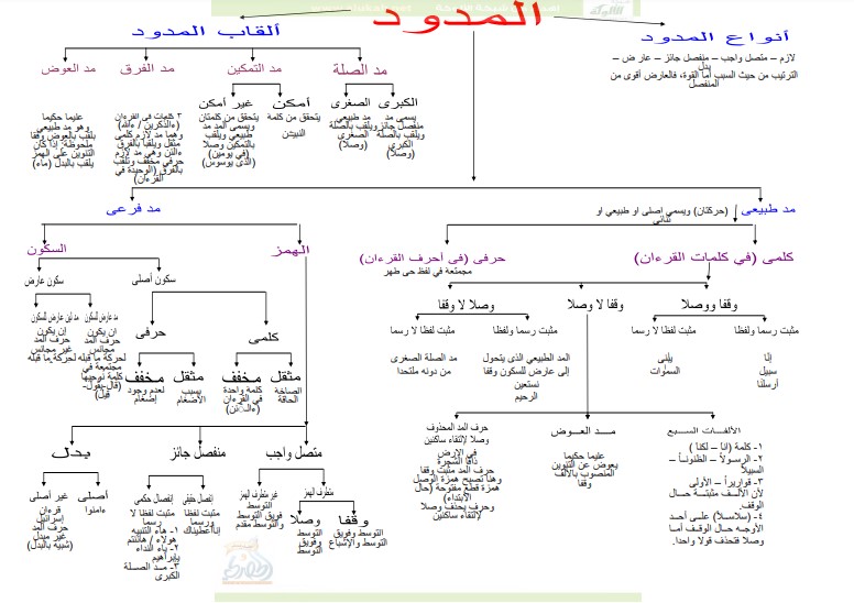 المدود خارطة ذهنية